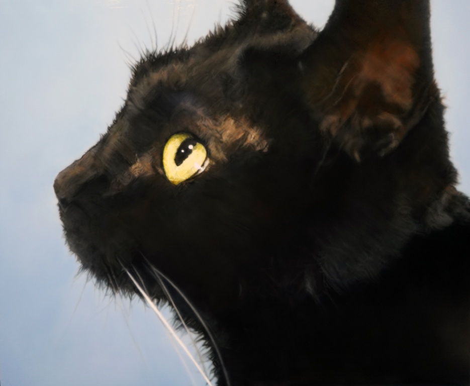 丸山健太 絵画作品