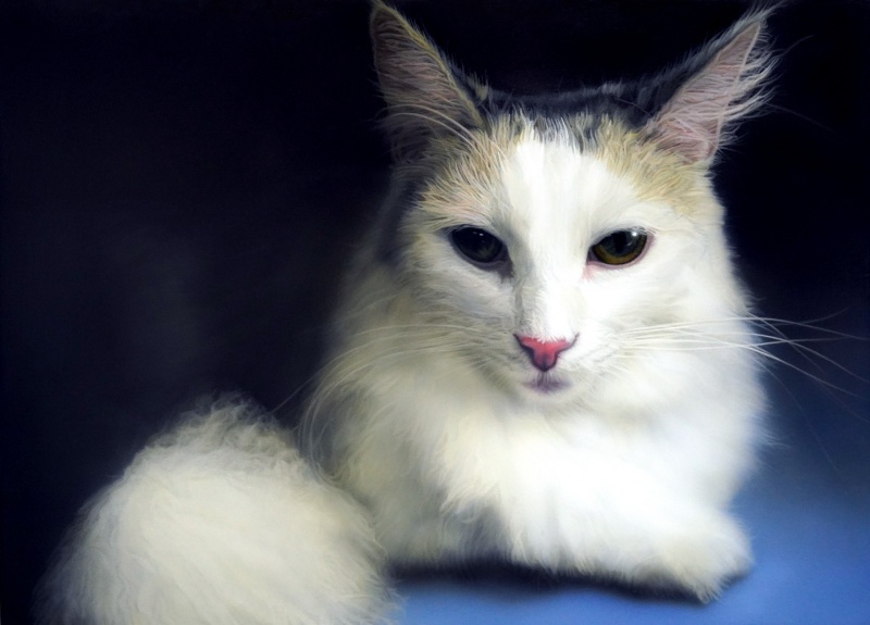 丸山健太 絵画作品