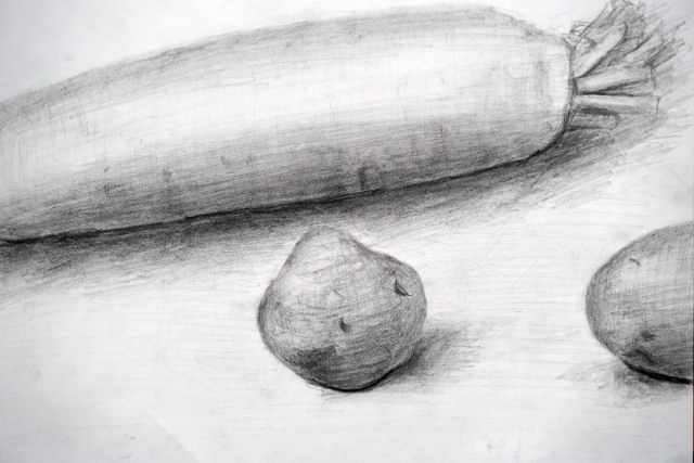 小学校5年生のデッサン