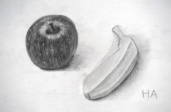 小学校5年生のデッサン