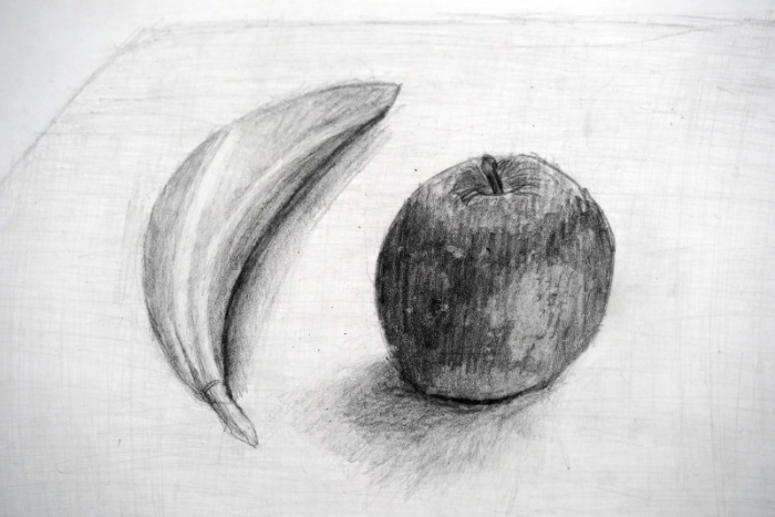 小学校5年生のデッサン