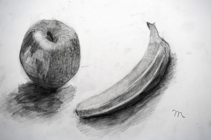 小学校5年生のデッサン