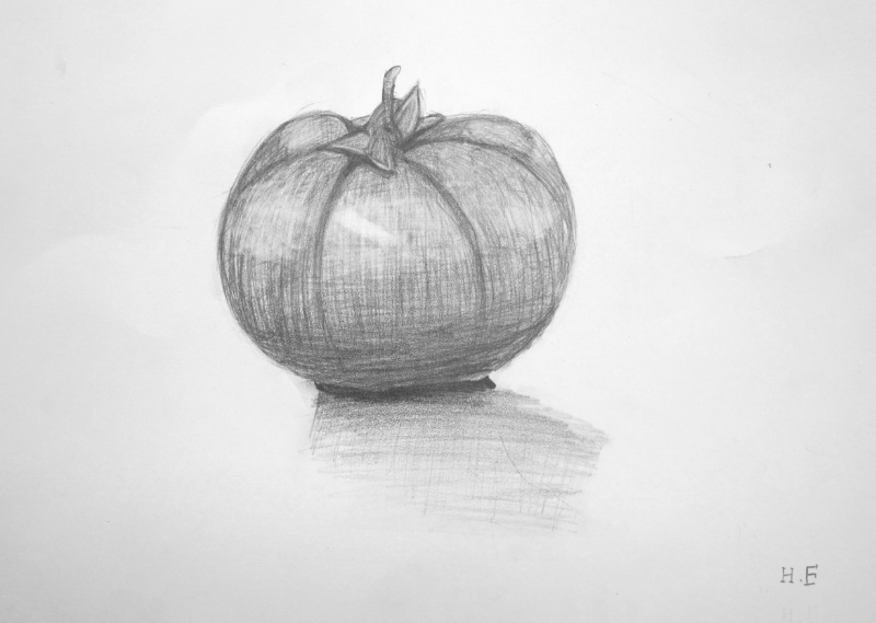 小学校6年生のデッサン