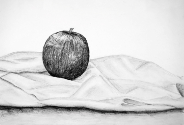 中学校2年生のデッサン