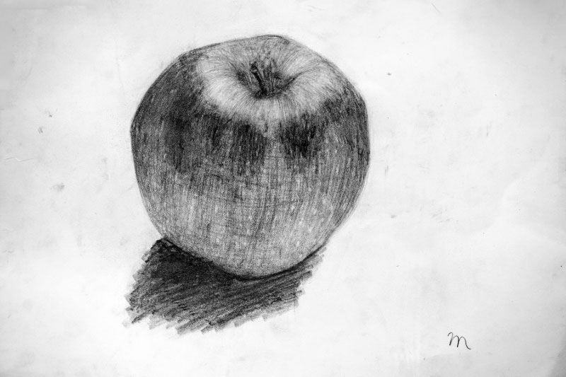 小学校5年生のデッサン