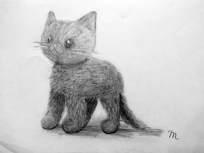 小学校5年生のデッサン