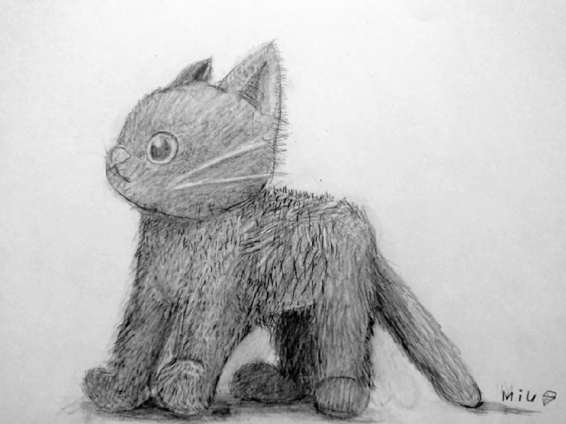 小学校5年生のデッサン