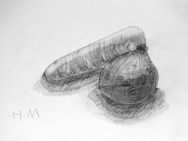 小学校5年生のデッサン