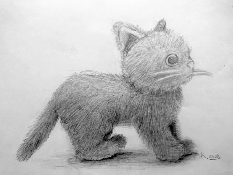 小学校5年生のデッサン