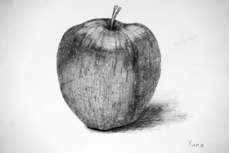 小学校6年生のデッサン