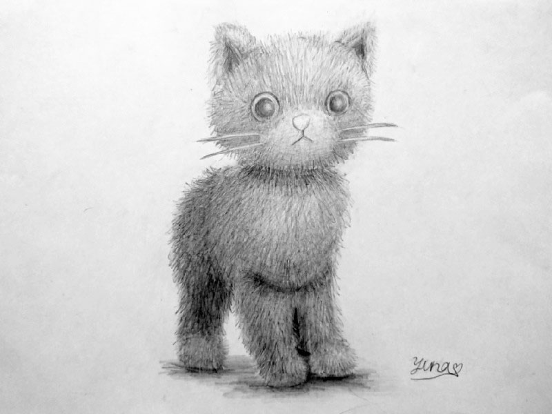 小学校6年生のデッサン