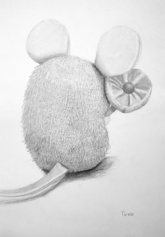 中学校2年生のデッサン