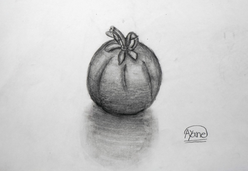 小学校5年生のデッサン