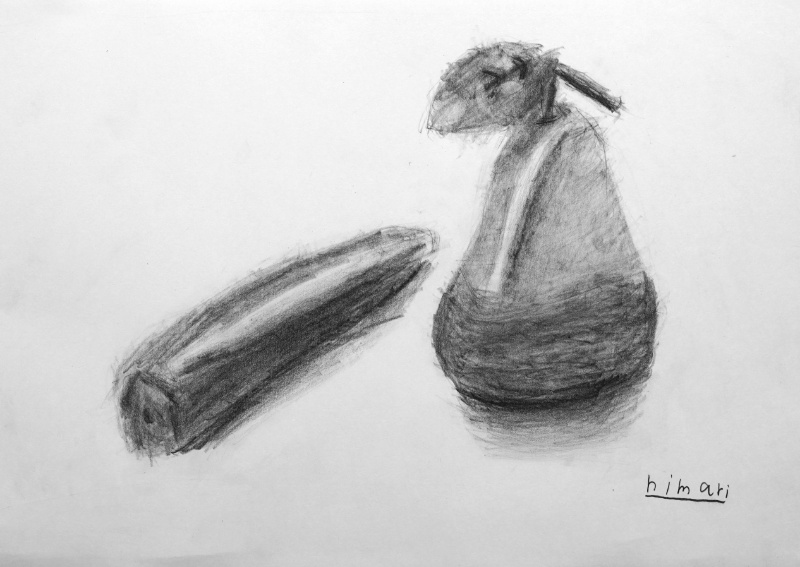 小学校5年生のデッサン