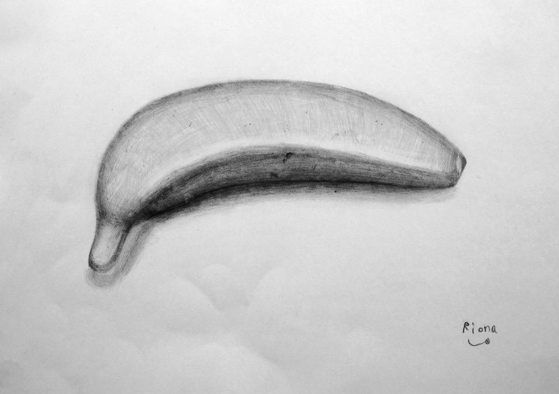 小学校5年生のデッサン