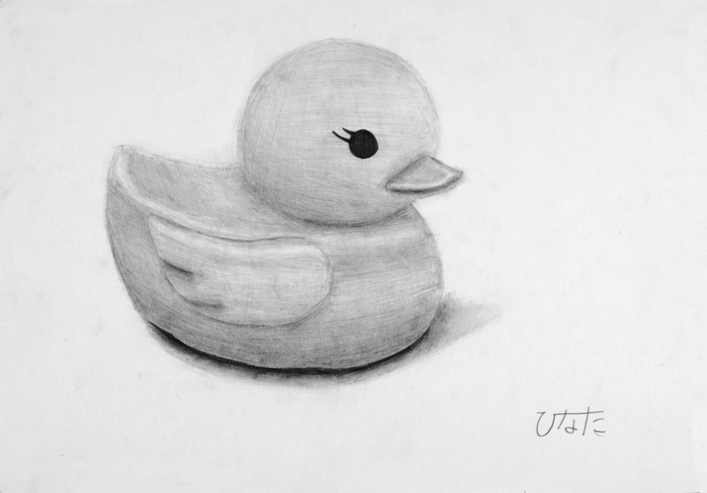 小学校6年生のデッサン