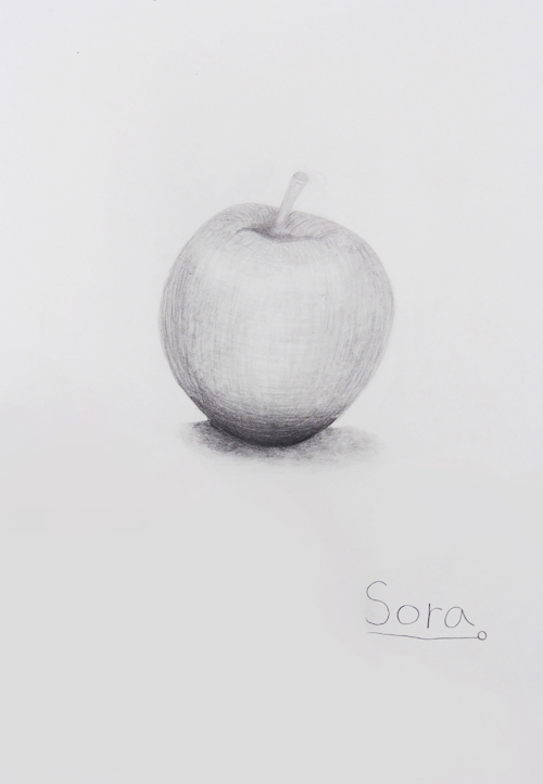 中学校1年生のデッサン