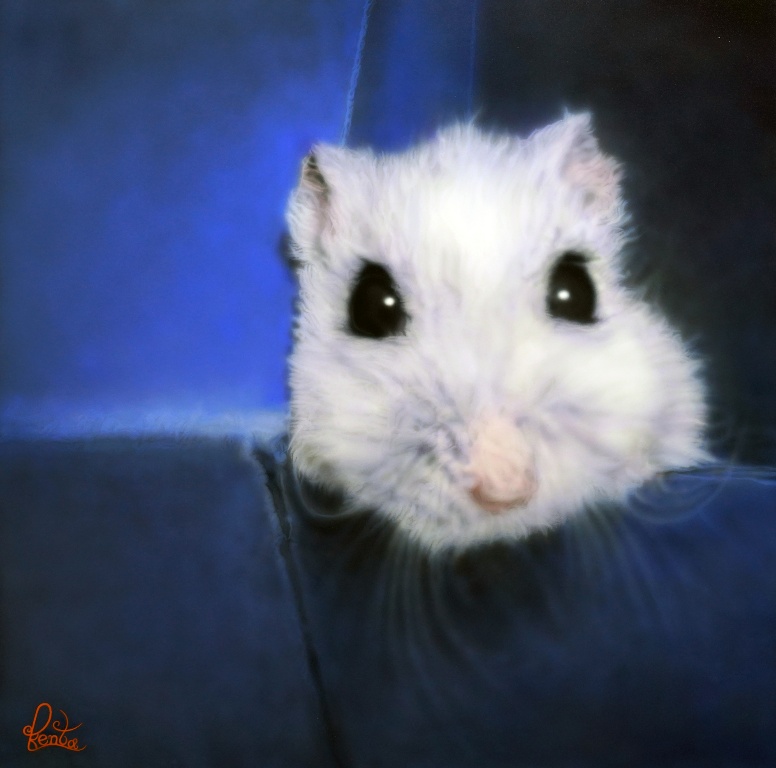 丸山健太 絵画作品